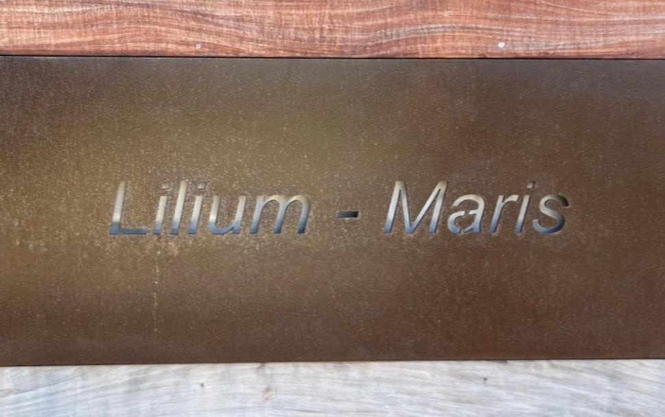 Hotel Lilium Maris Тиццано Экстерьер фото